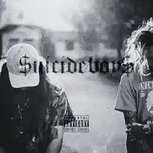 Picture for song '$uicideboy$ Type Beat' by artist 'bimaeljimmybeatz'