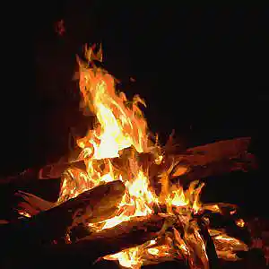 Picture for song 'Nookludes: Hearth 1' by artist 'Jav Grojas'