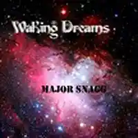 Picture for song 'Waking Dreams (part one) ' by artist 'Major Snagg'