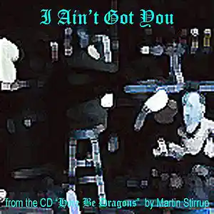 Picture for song 'HBD 12 I Aint Got You' by artist 'martin stirrup'