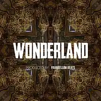 Picture for song 'Wonderland' by artist 'Parabellum Beats'