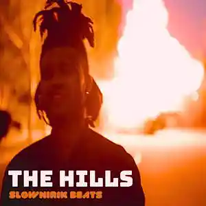 Picture for song 'The hills' by artist 'Slownirik'