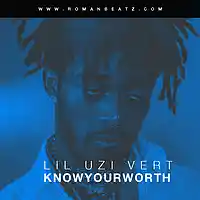 Picture for song 'KnowYouWorth (LilUziVert x Trippie Redd Type Beat)' by artist 'TheRealRomanBeatz'