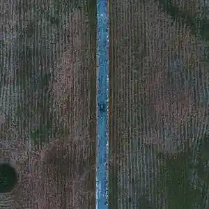 Picture for song '"Compound"#beats for sale' by artist 'whoDeanyBeatz'