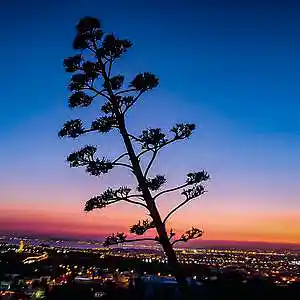 Picture for song 'Reborn(Prod.whoDeany)#beats' by artist 'whoDeanyBeatz'