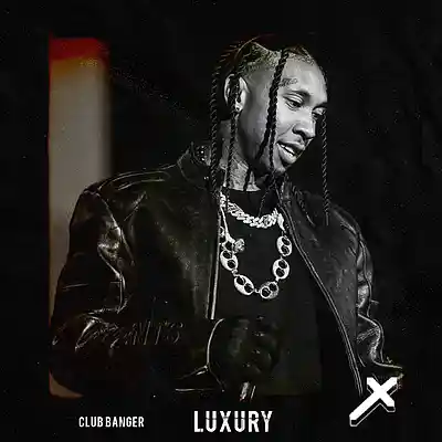 Picture for song '"Luxury" - club banger / tyga / offset type beat' by artist 'Alexx Melo'