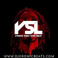 Picture for song 'YSL (BUY 1 GET 1 FREE)' by artist 'DJ Kronic Beats'