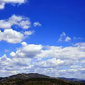 Picture for song 'Money on mind' by artist 'KayZane'