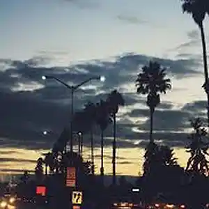 Picture for song 'Westcoast Type Beat' by artist 'RelevantBeats90'