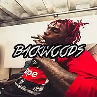 Picture for song '*Backwoods* New Trap Beat (Free DL)' by artist 'Sean Bentley'
