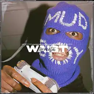 Picture for song 'WAIST' by artist 'Saint Tormenta'