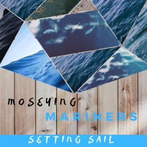 Picture for song 'Square One' by artist 'Moseying Mariners'