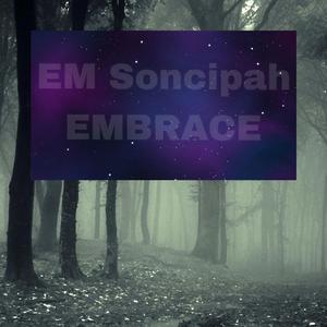 Picture for song 'Everyday Parte' by artist 'EM Soncipah'
