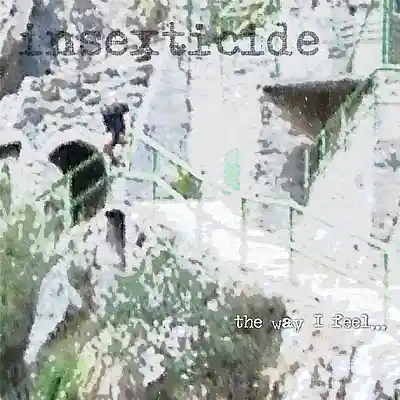 Song picture