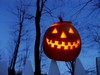 Picture for song '(FREE) The Sailing Jackolantern (FREE DOWNLOAD)' by artist '1337 beats'