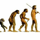 Picture for song 'When Will We Fall' by artist '211 Productions (PGH)'