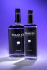 Picture for song 'Polar Ice Cold (w/ Mack Boi)' by artist '3fecta'