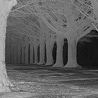 Picture for song '2 DA END' by artist '4biddinmuzik'