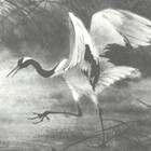 Picture for song 'Yaucu' by artist 'Absaloms Axe'