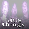 Picture for song 'Little Things' by artist 'Acoustic 101'