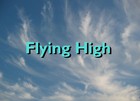 Picture for song 'Flying High' by artist 'A-F05'