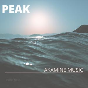 Picture for song 'Peak (Smino x Tory Lanez)' by artist 'Akamine'