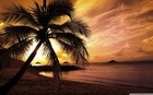 Picture for song 'Tropik' by artist 'Alante (US)'