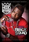 Picture for song 'BriCK $qUaD FinAle ;(.mp3' by artist 'Alex Catton Productions'
