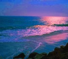 Picture for song 'My Sea of Facination' by artist 'ALPHA ONE OMEGA'
