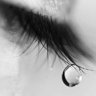 Picture for song 'My Last Tears' by artist 'Alpha Spec Beats'