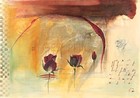 Picture for song 'Amor Marinero' by artist 'Ana Diaz'