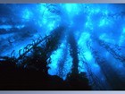 Picture for song 'UnderWorld' by artist 'Analog Chill'