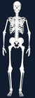 Picture for song 'LAZY BONES' by artist 'AND-DROID'