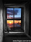 Picture for song 'Convalescente' by artist 'Andre dos Arcanos'