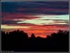 Picture for song 'Red Sunrise' by artist 'Andrew Cowan'