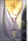 Picture for song 'Alcohol In My Cup' by artist 'Andrew U The Perfectionist'