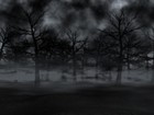 Picture for song 'Trembling of the leaves of darkness....mp3' by artist 'Andrew Wiseman'
