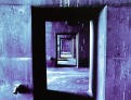 Picture for song 'Catacomb Walls' by artist 'Andries'