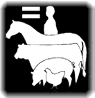 Picture for song 'do mayor' by artist 'animinimalista'