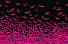 Picture for song 'not from this world--Bats over tonio's house' by artist 'Antonio de Braga'