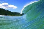 Picture for song 'Waves of Paradise' by artist 'Armandy'