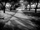 Picture for song 'Sentiments of Nostalgia (Prod. By Armen Grigoryan)' by artist 'armenbeats'