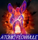 Picture for song 'Sister Matilda' by artist 'Atomic Plowmule'