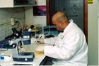 Picture for song 'Forensic Filing' by artist 'AyOKay'