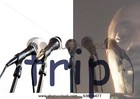 Picture for song 'Feelin Like.MP3' by artist 'back projectz'
