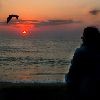 Picture for song 'Samarian Sunrise' by artist 'beaglesound'