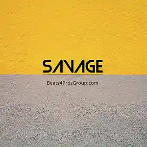 Picture for song 'Savage' by artist 'Beats by Pixel'