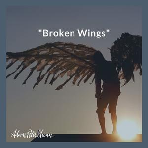 Picture for song 'Broken Wings (French Montana Type Beat)' by artist 'Beats By Adam Peter Shinn'