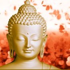 Picture for song '*THE GREAT LOTUS DREAM* (Free DL!)' by artist 'Best Original Instrumental and HipHop Beats'