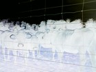 Picture for song 'Space Invaders' by artist 'Biber'